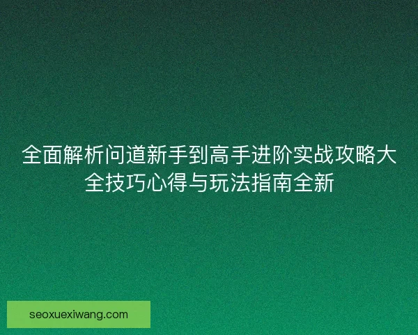 全面解析问道新手到高手进阶实战攻略大全技巧心得与玩法指南全新